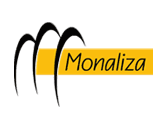 Criao de site para _monaliza import.gif